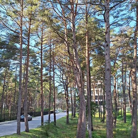 Shellter Sun&sea Kolo Kolobrzegu_dzwirzyno_nocleg Lejlighed *